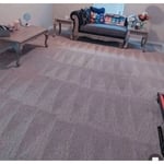 Carpet Cleaning Project