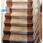 Carpet Cleaning Project