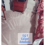 Carpet Cleaning Project