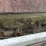 Gutter Cleaning Project