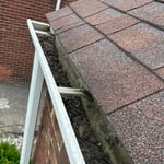 Gutter Cleaning Project