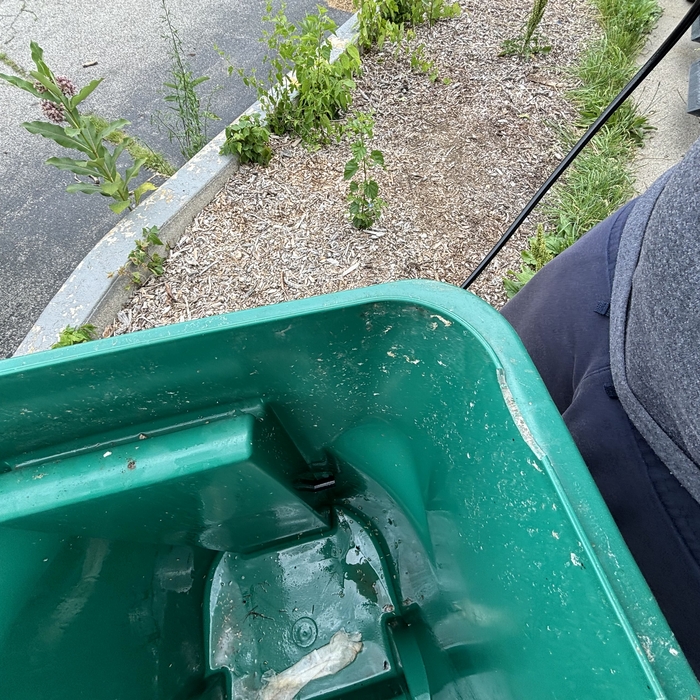 Pressure Washing Project