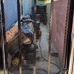 Modern style gate