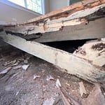 Mold Subfloor Rot