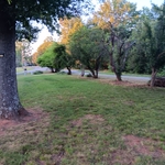 Landscaping Project