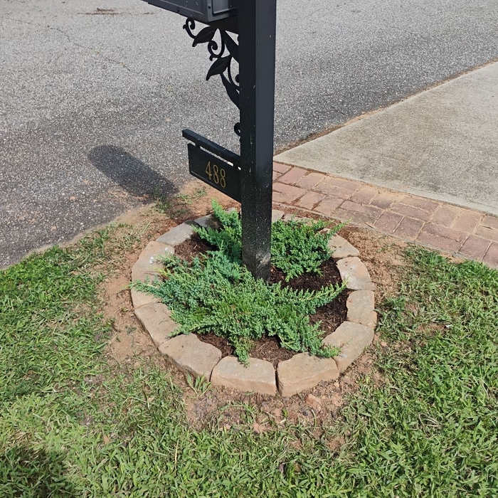 Landscaping Project