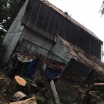 Emergency Tree Removal