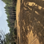 County road 107 Job