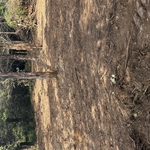 County road 107 Job