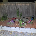 Landscaping - Hardscaping & Pavers Project