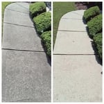 Pressure Washing Project