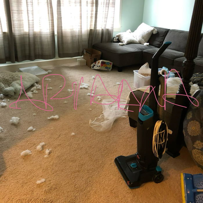 Additional Photos