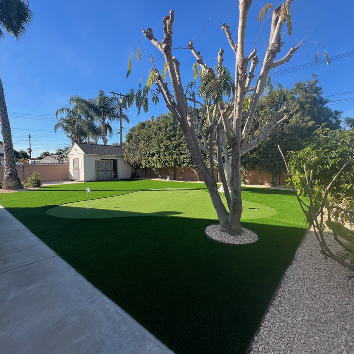 Additional Photos