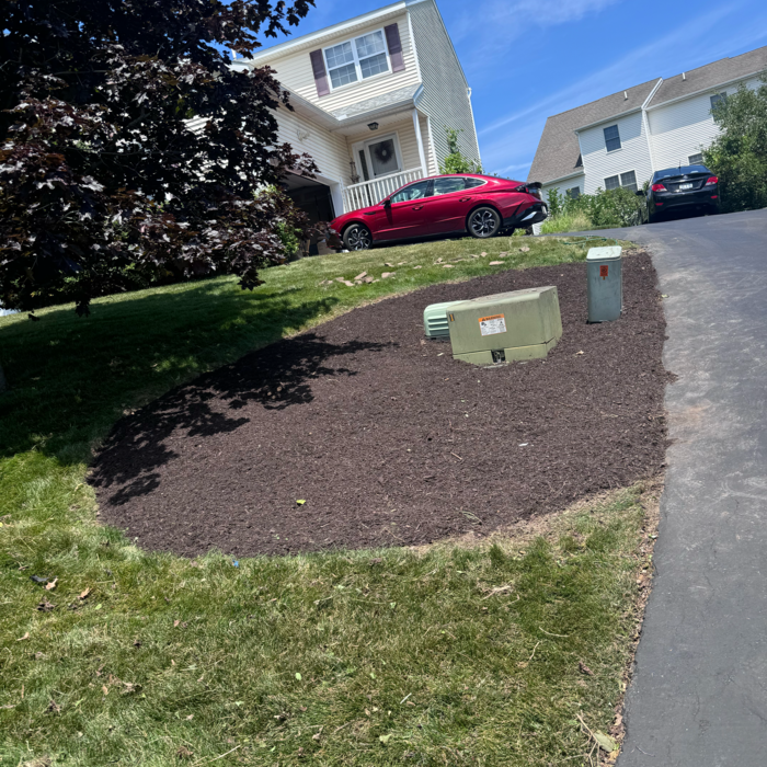 Additional Photos