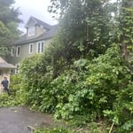 Tree Service Project