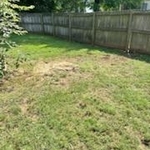 Tree Service Project