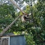 Tree Service Project