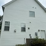 Algae/ mold removal