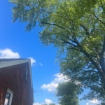 Tree Service Project