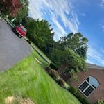 Tree Service Project