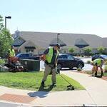 Lawn Care Maintenance