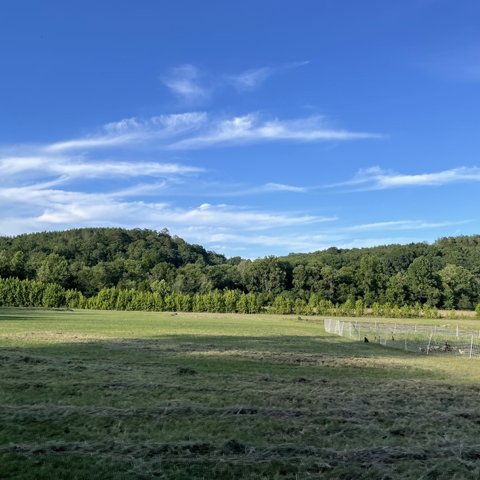B&e farms