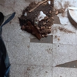 Animal Removal Project