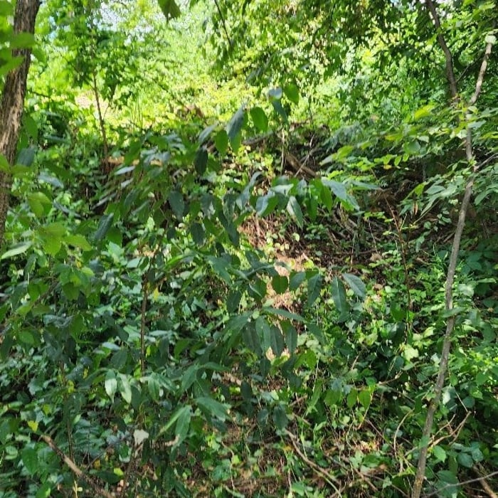 Additional Photos