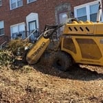 Stump Grinding