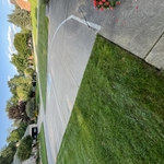Pressure Washing Project