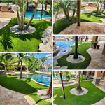 Backyard Paradise