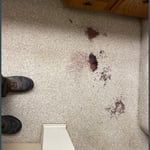 Carpet Cleaning Project