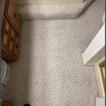 Carpet Cleaning Project