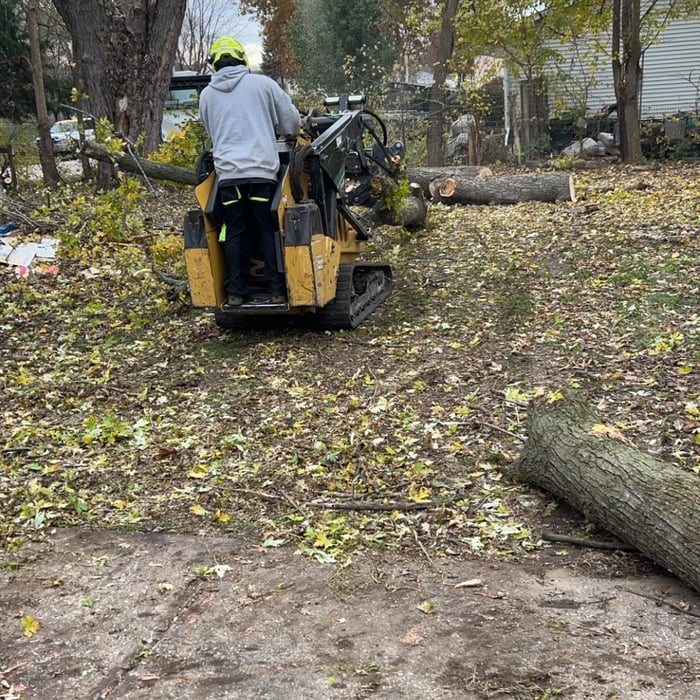 We have all equipment needed necessary to properly remove the tree or bush for our clients in the near future