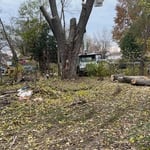 Here is an image description of what we have been assigned too in the past , 2200$ job remove leads to 30 ft and trim a medium sized tree .