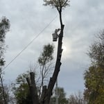 Here is a nice photo of the guys roping leads down