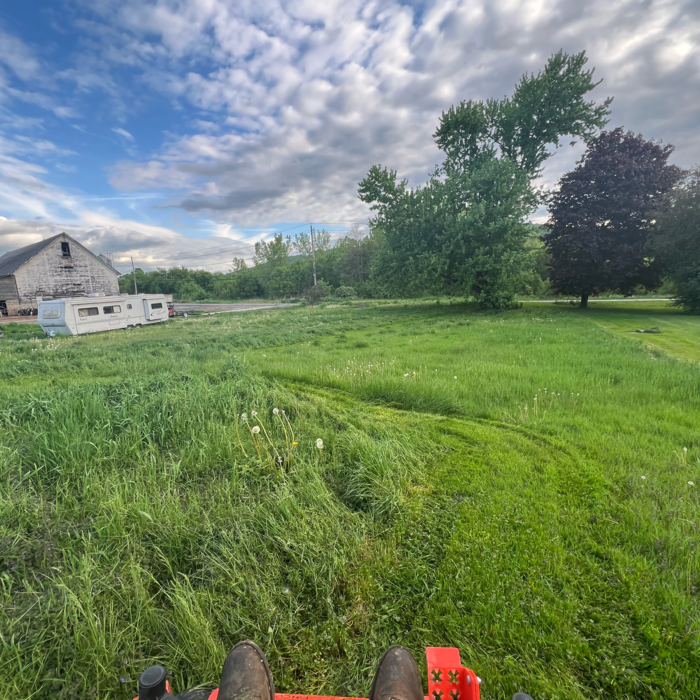Over grown lawn!