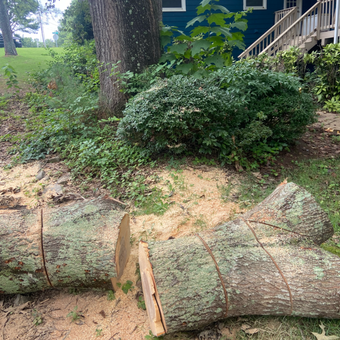 Additional Photos