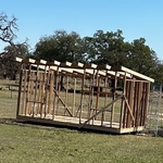 Cluckingham Palace (Chicken Coop)