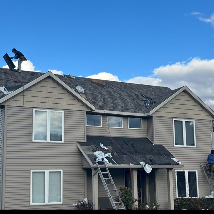 Roofing Project