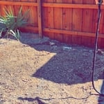 After photo