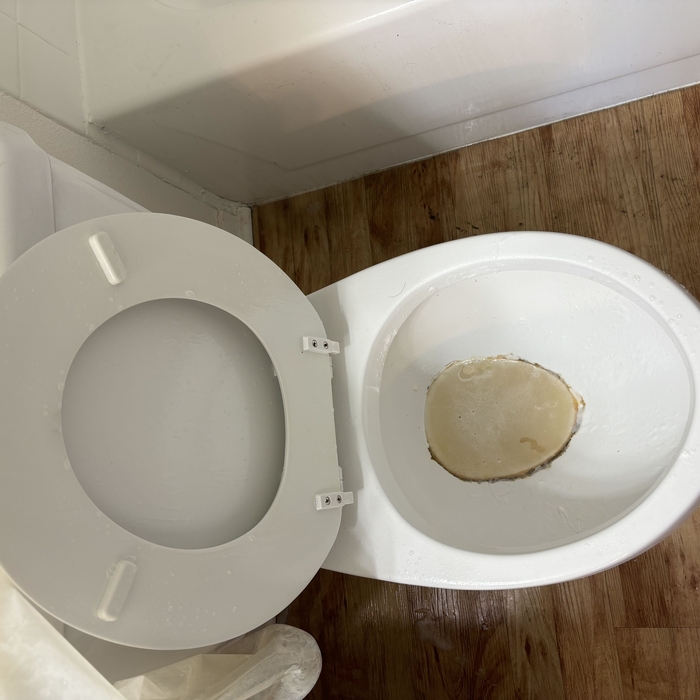 Housecleaning Project