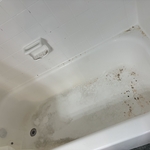 Housecleaning Project