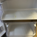 Fridge shelves before