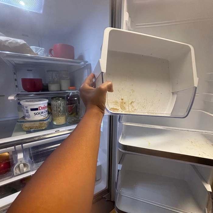 Fridge shelves before