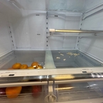 Fridge shelves before