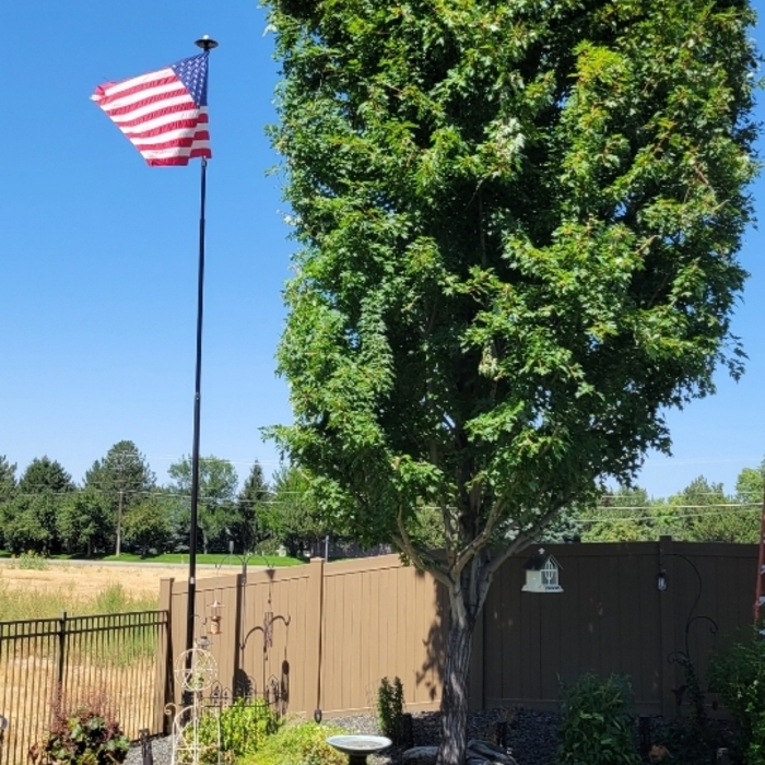 Tree Service Project