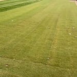 Landscaping Project