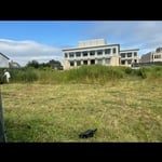 Landscaping Project