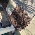 Landscaping Project
